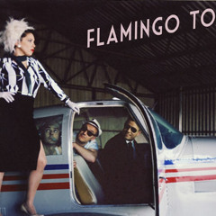 Flamingo tours - Mister just a little bit