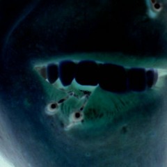 -Enemy Dose- come to my nasty place 2008