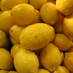 Lemon Zum (Live), Choros Limoneros