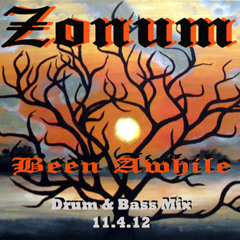 Zonum-Been Awhile (D&B Mix 11.4.12) [Free DL]