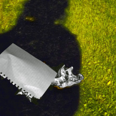 wasted (uncensored demo)