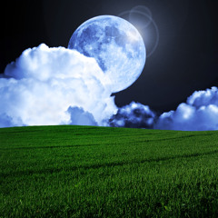 Blissful Essence