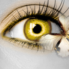 Autumn Eyes & Butterflies (FREE DL)