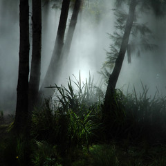 Mystical Rainforest - Relaxing Piano Music
