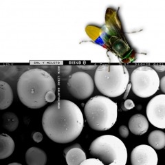 SAL Y MILETO - PANELITA