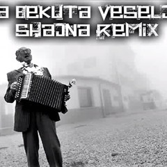 Ana Bekuta - Veseljak - Shajna (House Remix)