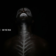 Spaceape - On the Run