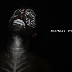 Spaceape - Up in Flames