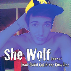 Jean-David - She Wolf (SNIPPET)