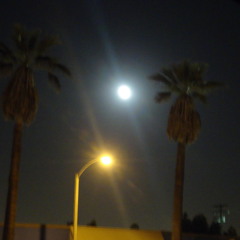 The MooN