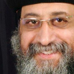 tranim
