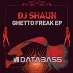 Dj Shaun - I Run This Bitch (Main)