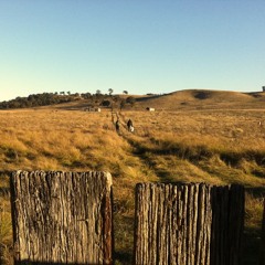 Susie Bishop & Laura Bishop - Summer Rain