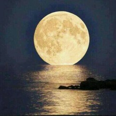 على خير أشوفك ... فهد مطر  شيلات