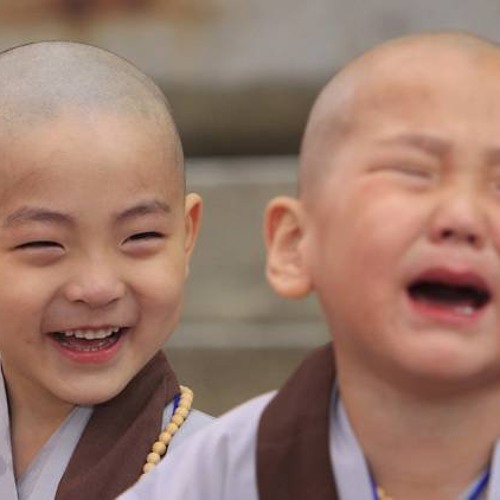 Con Xin Xám Hối - Nguyễn Lê Bá Thắng- Hòa Hiệp