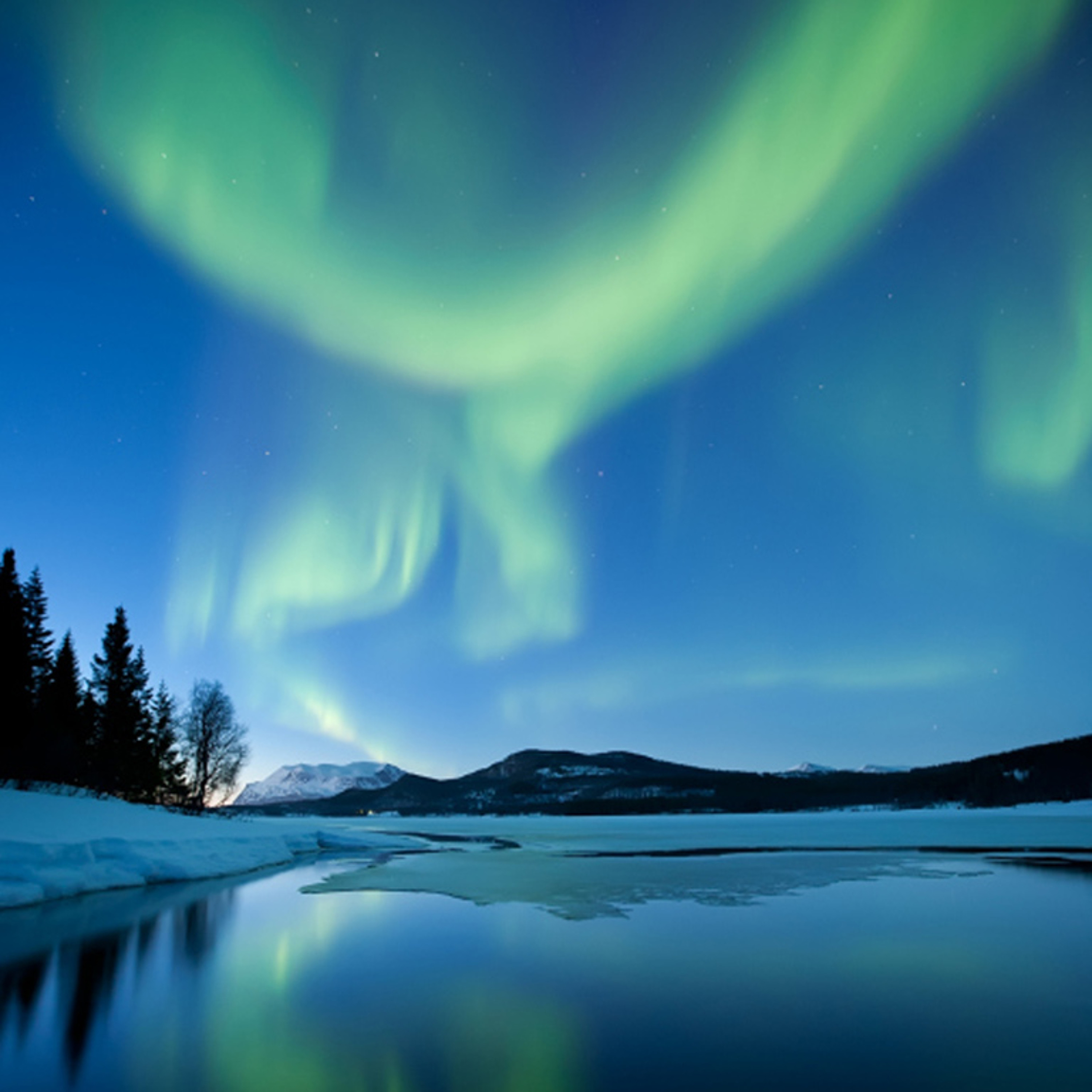 Aurora by Arno Vrijman episode artwork