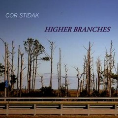 Luster - COR STIDAK - Higher Branches (Stidak.struh-mentals vol. 2) OUT NOW!!