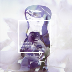 Blackbird Blackbird - Keep it up (Sun Glitters Remix)