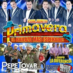 Primavera y chacales mix= djpeewee