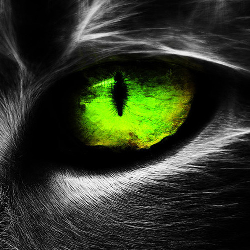 Zarek Remix 009 [Drum & Bass Mix 2012] - Keep Calm and Kill people in your Mind