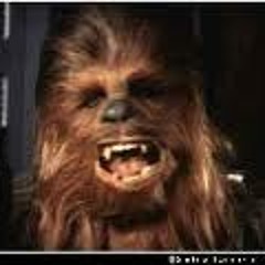 Its not wise to upset a wookie