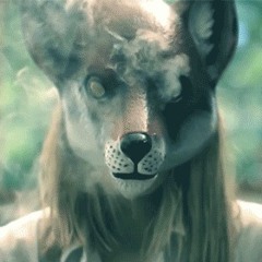 XXYYXX - About You