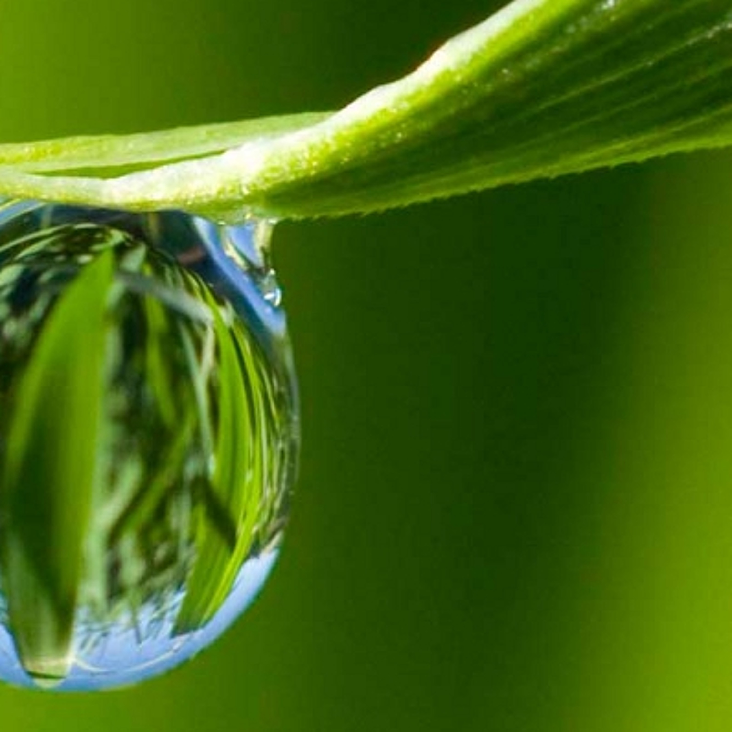 Drops by Arno Vrijman episode artwork