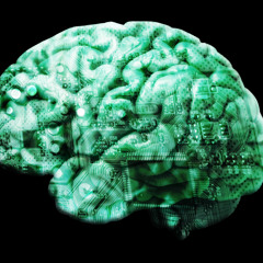 Hepatic Encephalopathy (demo)