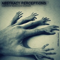 Kadum vs Iguana - Abstract Perceptions (VA - Abstract Perceptions) Amadea Music