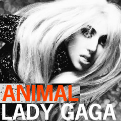 Lady Gaga  -  Animal