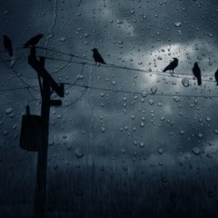 En la obscuridad (cuervoz)