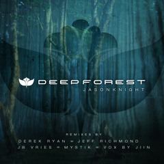Jason Knight ft Jiin-Deep Forest (Derek Ryan Remix)