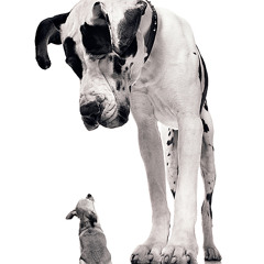 LittleShan77:)Summermix2012