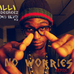 Milli -No Worries (Remix) 2012