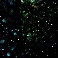 Ob-Bla-Di, Ob-Bla-Da - The Beatles Cover By Liv