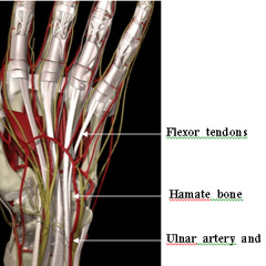 Water Flower Romantic Piano Music