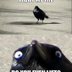 Fight me IRL, Do you even lift? (Under Construction)