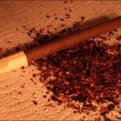 Mayne Mayne My Guy - Destoroyah