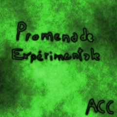ACC - Promenade Expérimentale - Bois