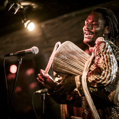 Only Love LIVE Immersive Studios