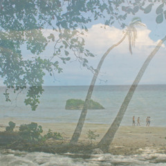 Callaloo Walter Ferguson