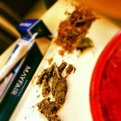 Flight