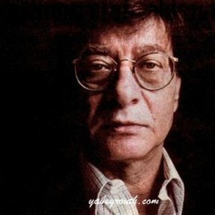 --لا شئ يعجبنى