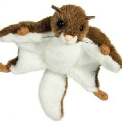 Paul McCartney - Let Em In (Jimi Bazzouka Re-Edit Flying Squirrel Re-Tempo)