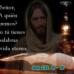 A QUIEN IRÉ- PADRE MARTÍN AVALOS Y MINISTERIO DEI VERBUM