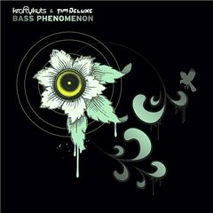 Krafty Kuts - Bass Phenomenon (D-Syfa & Jeph RMX) :: FREE DOWNLOAD