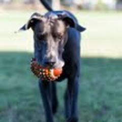 Hip hop vid mix fcp cd sound