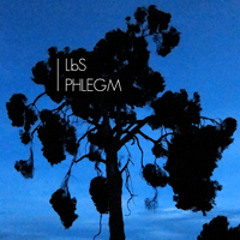 LbS - They Built Walls