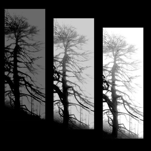 NOVEMBER DAY 14-11-2012