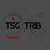 Artwork for TsG TrIb - Xperiment